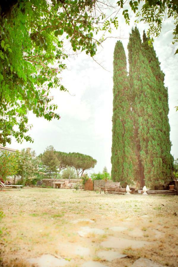 Il Pievano B&B Campiglia Marittima Zewnętrze zdjęcie